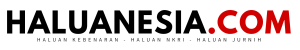 haluanesia.com